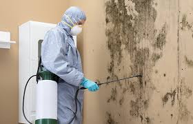 Best Attic Mold Removal  in Sparta, IL